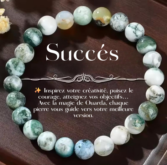 LA MAGIE DE OUARDA SUCCÈS